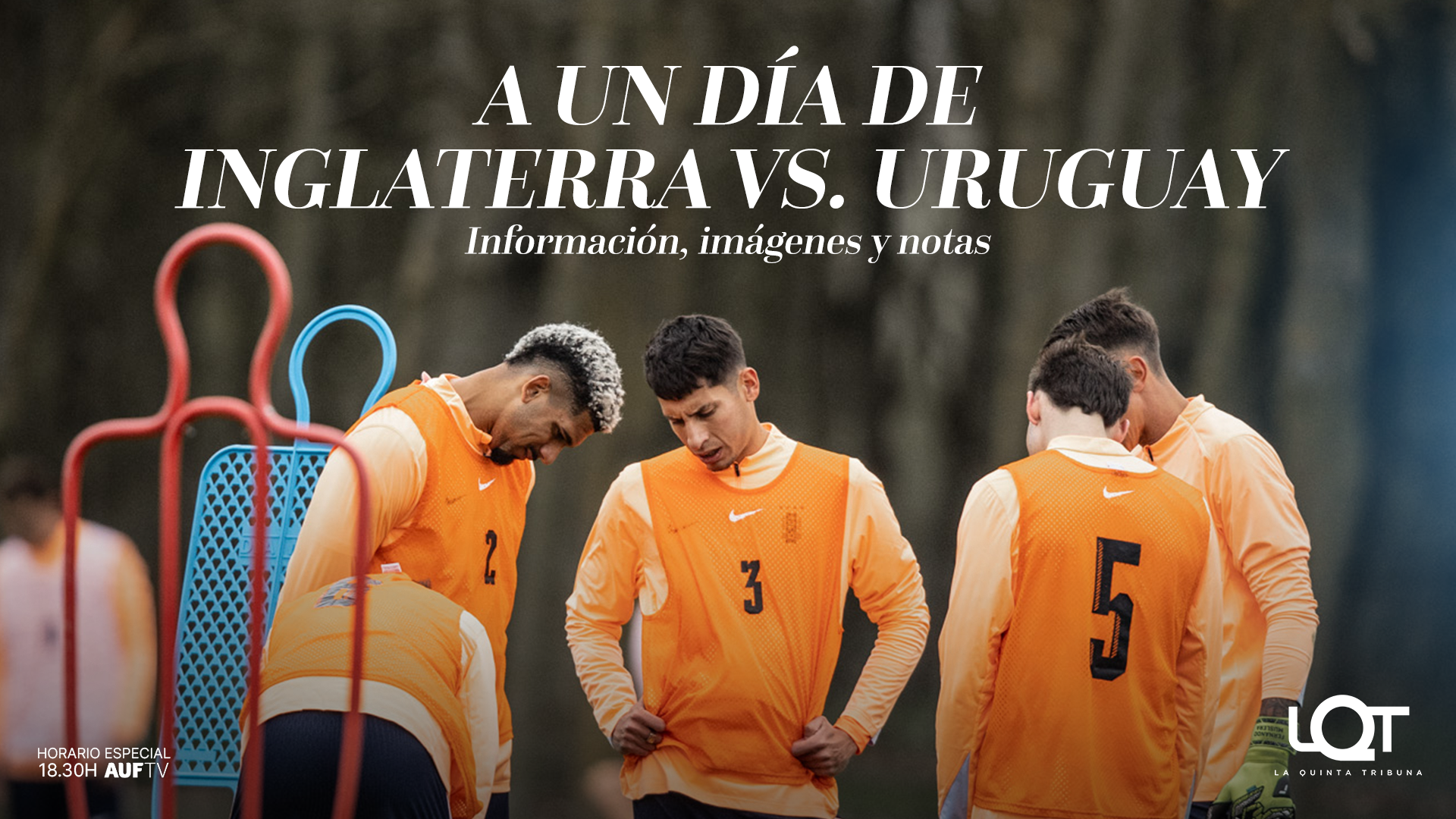 La Quinta Tribuna