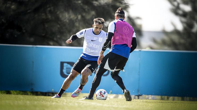 Selección Uruguaya | Entrenamiento 31.05.2025 | Eliminatorias Sudamericanas 2026