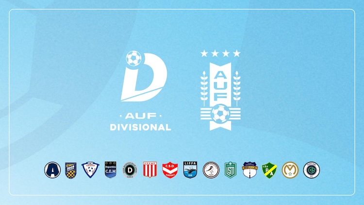 Sorteo Divisional D 2025