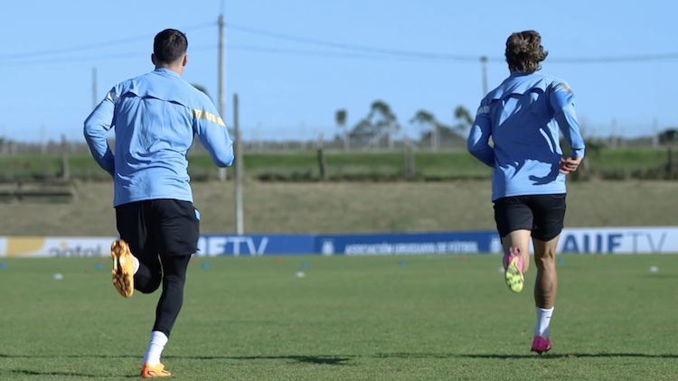 Entrenamiento | 13/6/2023