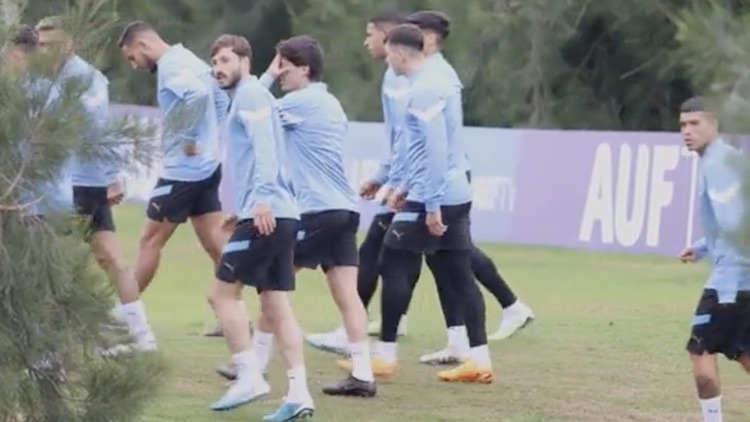 Entrenamiento | 10/6/2023