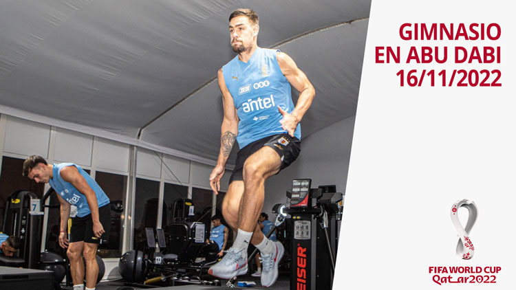 Gimnasio en Abu Dabi 16/11/2022