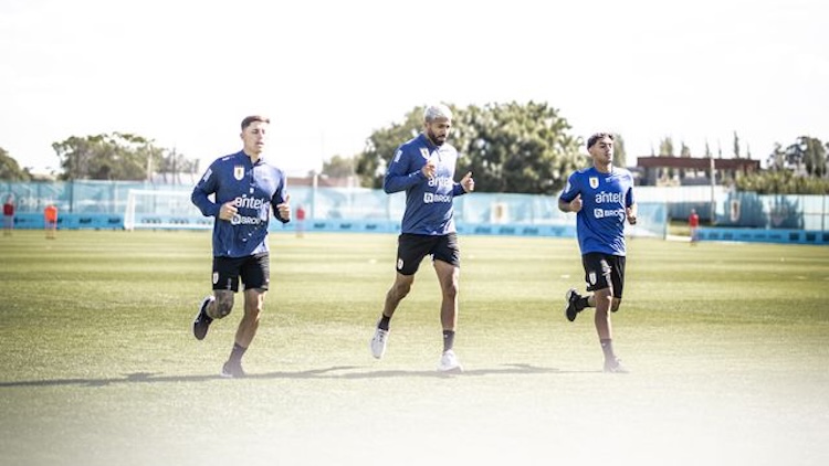 Entrenamiento 11/11/24