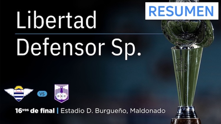 Resumen | Libertad vs Defensor